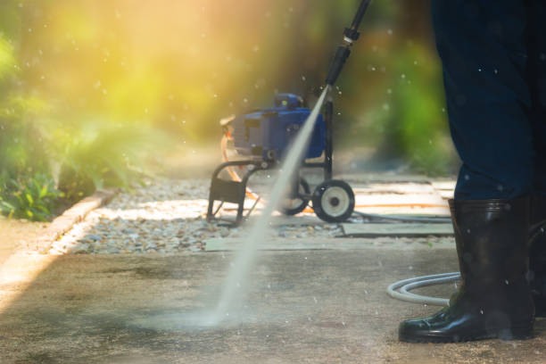 Best Solar Panel Cleaning  in Mount Olive, AL